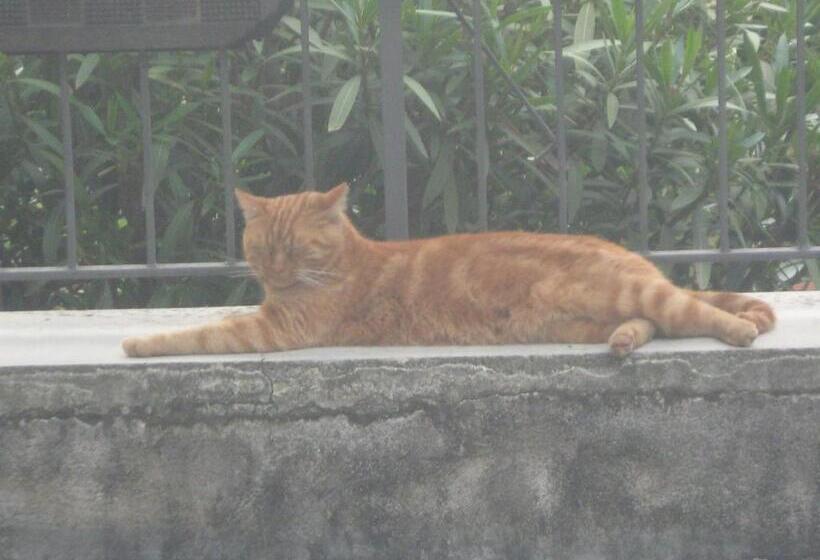 צימר Il Giuggiolo