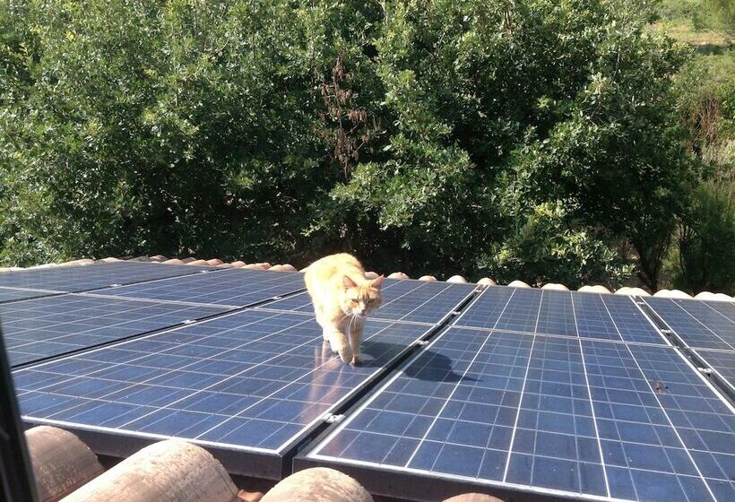 住宿加早餐  La Martinade