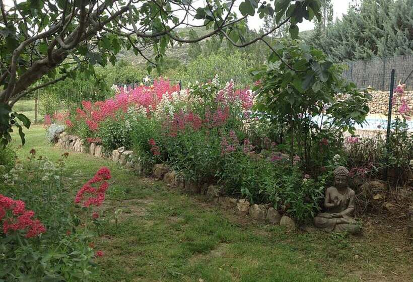 住宿加早餐  La Martinade