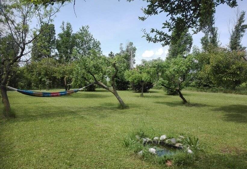 צימר La Vie En Rose