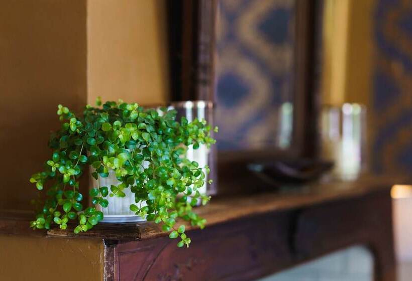 צימר Logement Onze  Chambres&gîtes