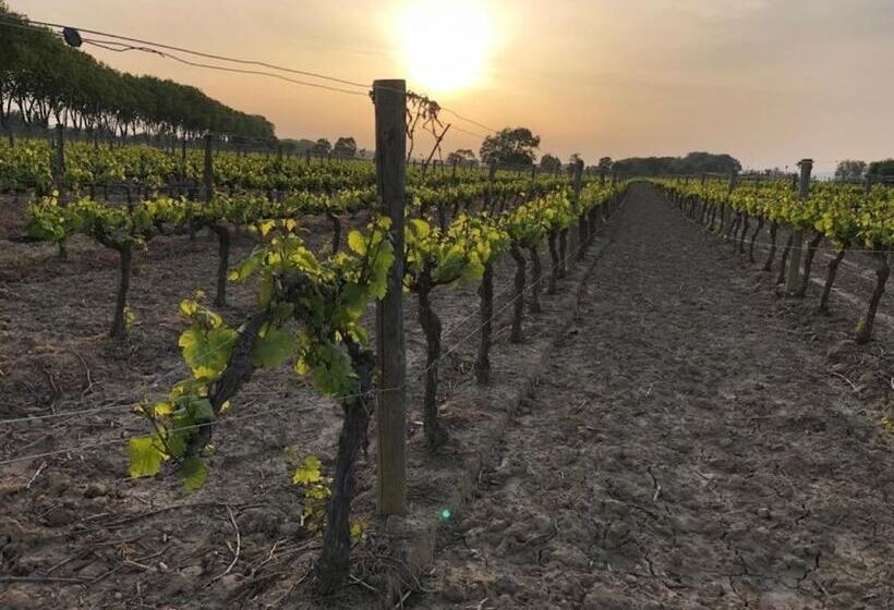 ベッドアンドブレックファースト Logement Onze  Chambres&gîtes