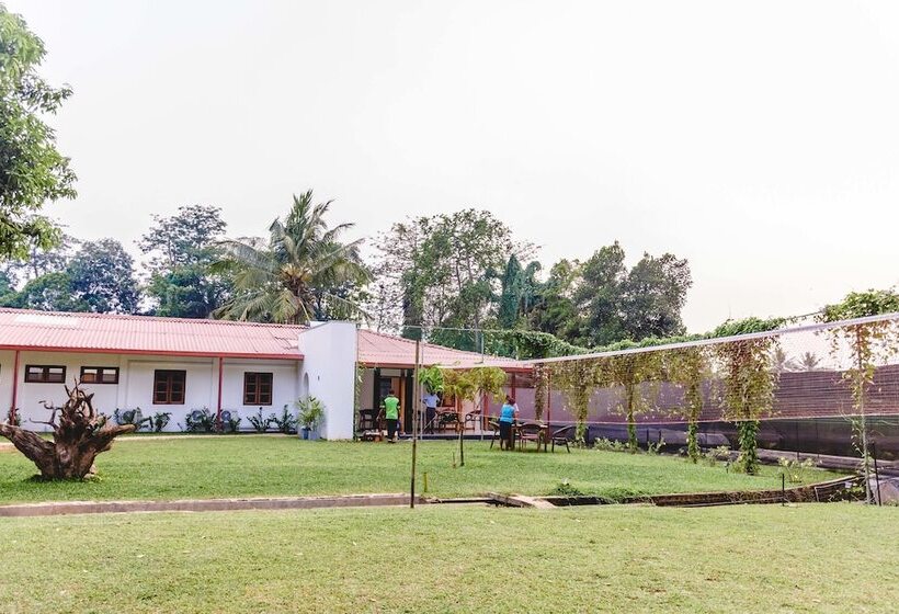 مبيت وإفطار Pinnawala Backpack Residencies