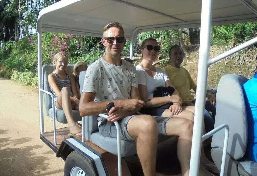 مبيت وإفطار Pinnawala Backpack Residencies