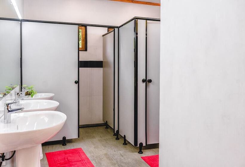 مبيت وإفطار Pinnawala Backpack Residencies