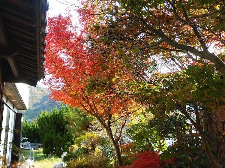 Guest House Darumaya   Hostel