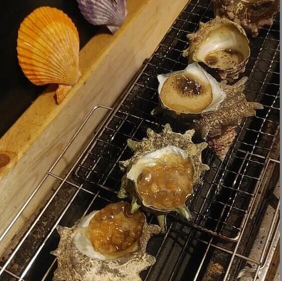 Guest House Darumaya   Hostel