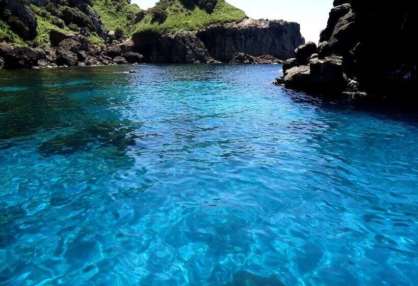 Guest House Darumaya   Hostel