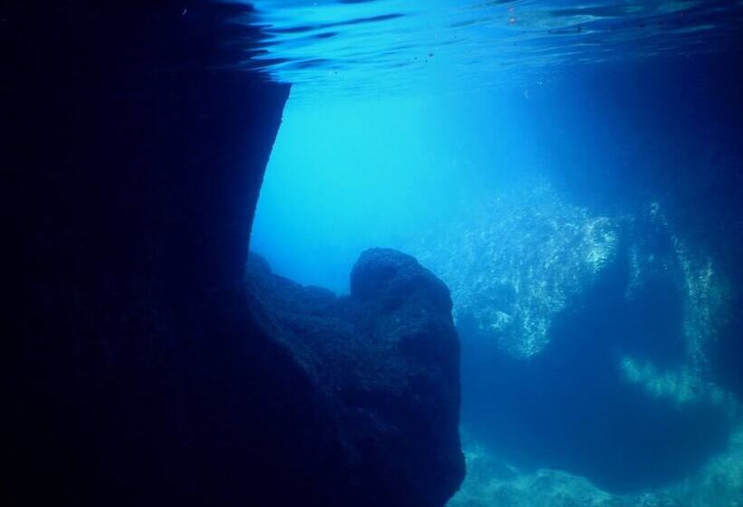 Guest House Darumaya   Hostel