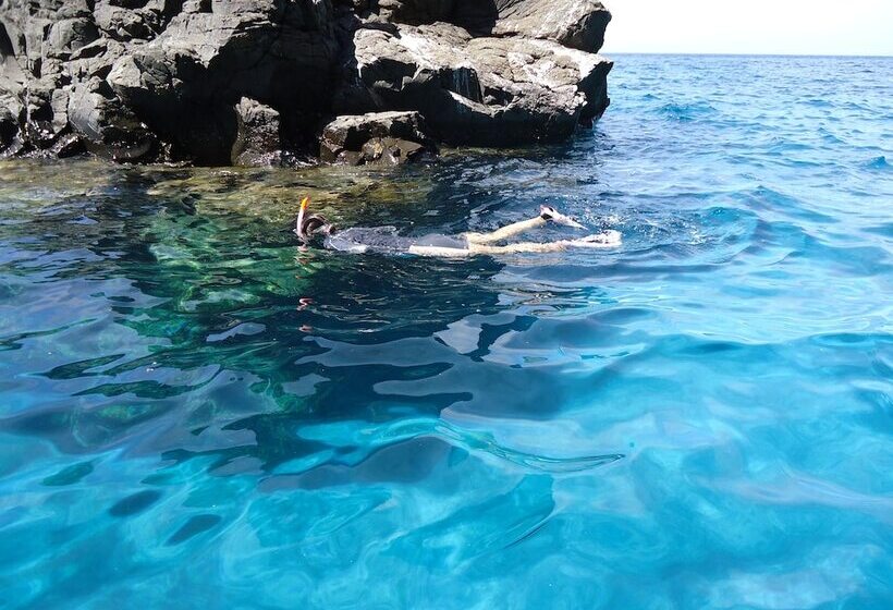 Guest House Darumaya   Hostel