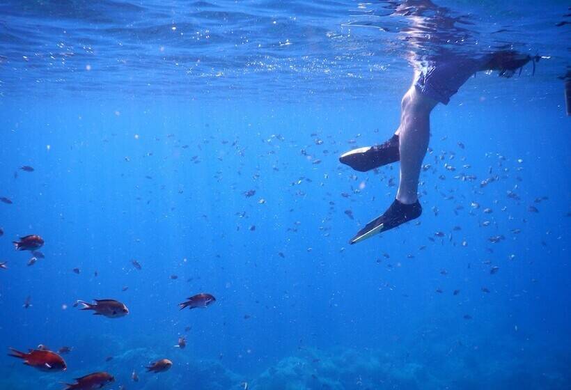 Guest House Darumaya   Hostel