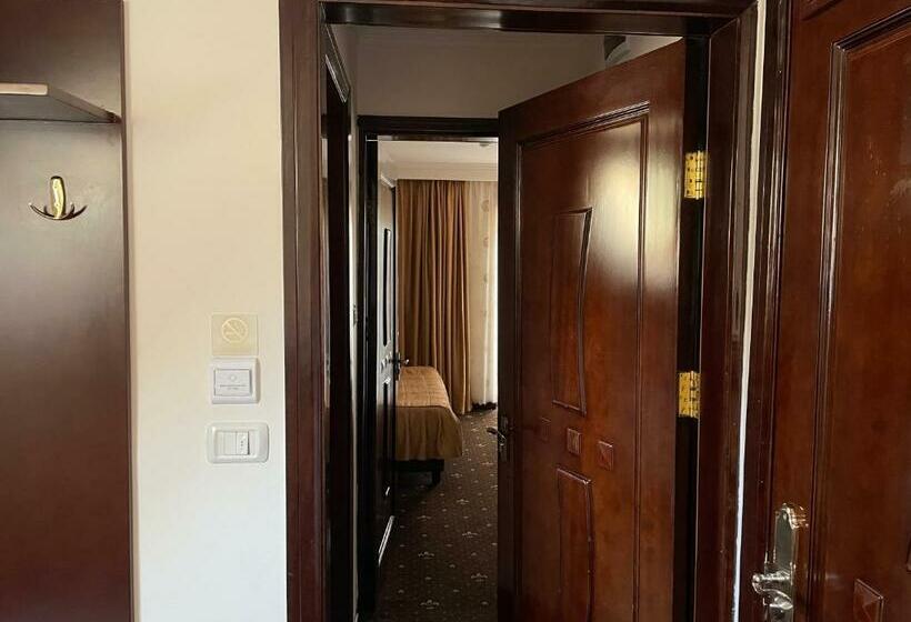 ホテル Arca Lui Noe