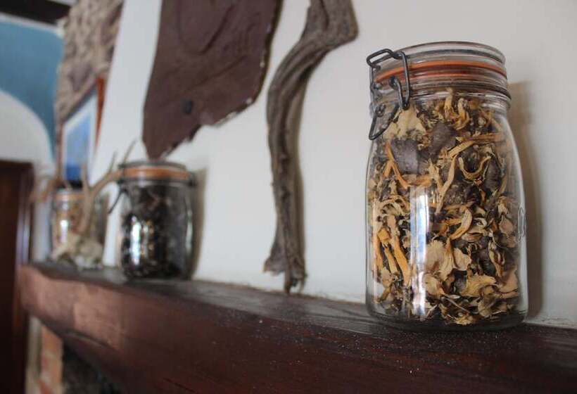 酒店 Auberge Lo Robur