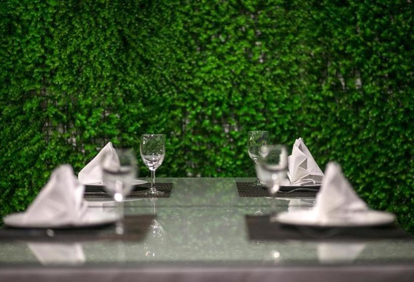 هتل The Oversleep Catba Hostel