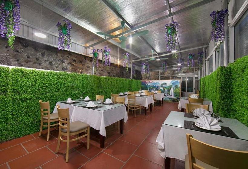 هتل The Oversleep Catba Hostel