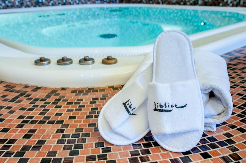 Szálloda Chateau Liblice