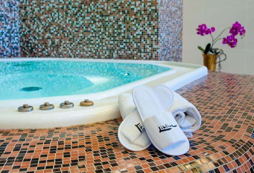 בית מלון כפרי Chateau Liblice