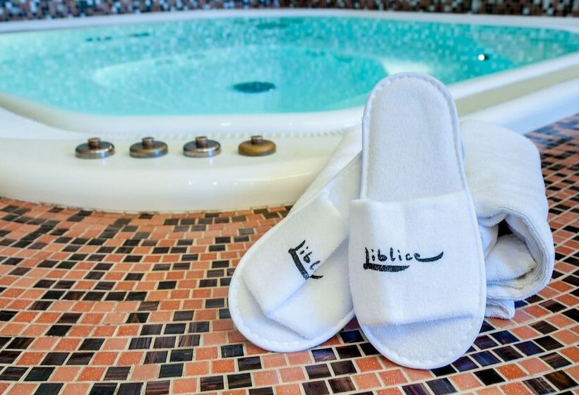 Szálloda Chateau Liblice