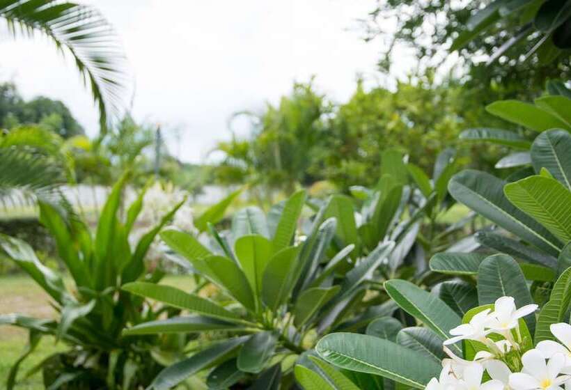 ホテル Chum Phae Lagoon Resort