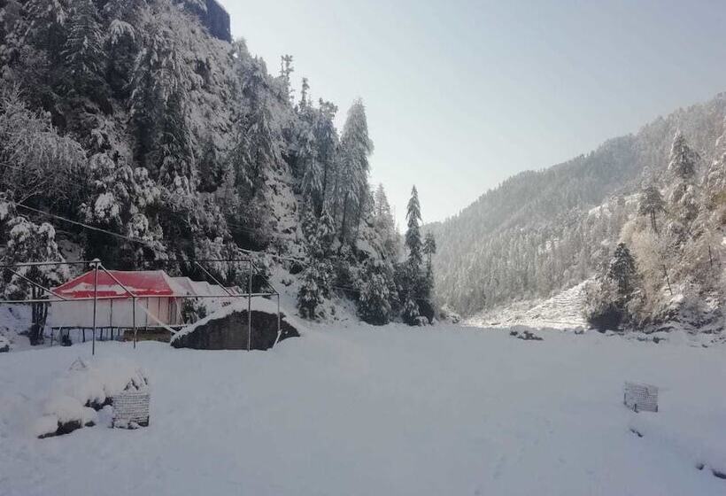 酒店 Day2day Camping