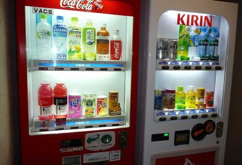 בית מלון כפרי Hashimotorou