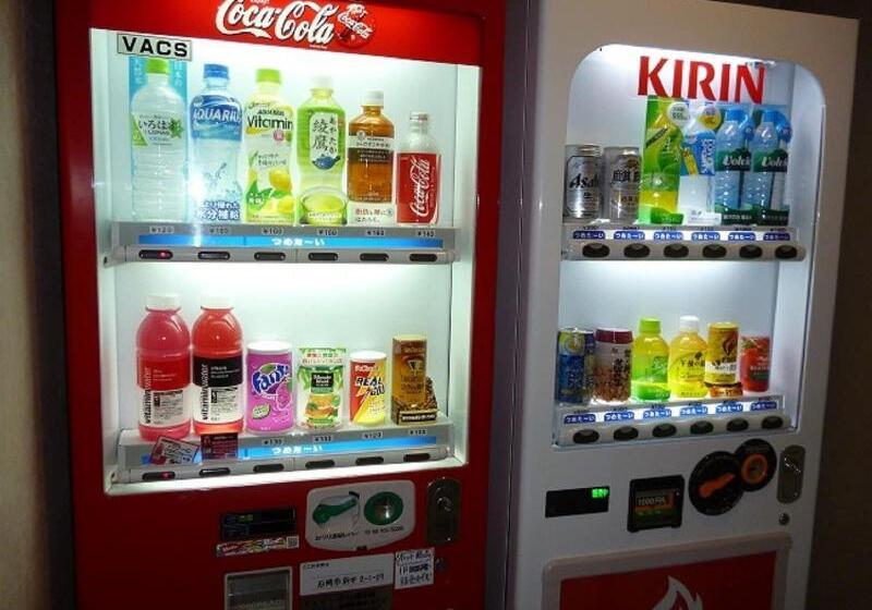 בית מלון כפרי Hashimotorou