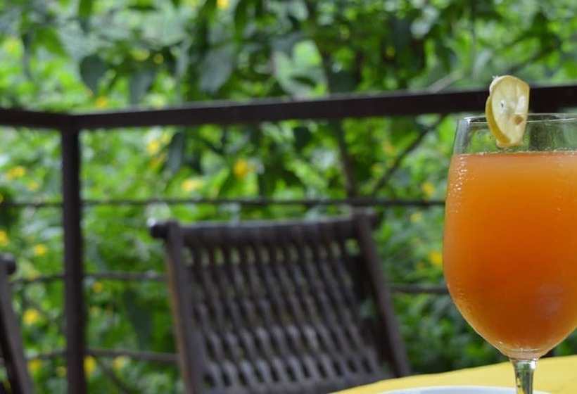 酒店 Haut Monde Hill Stream Resort And Spa