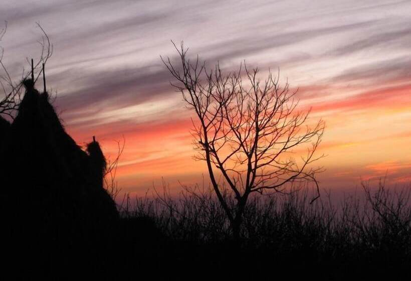 호텔 Kampland Nature Resort