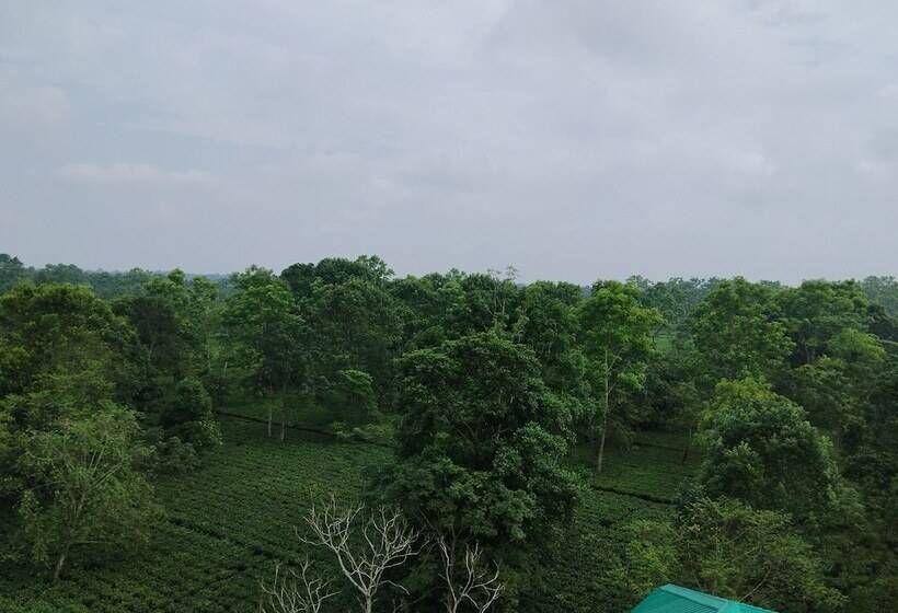 בית מלון כפרי Maa Greenery View
