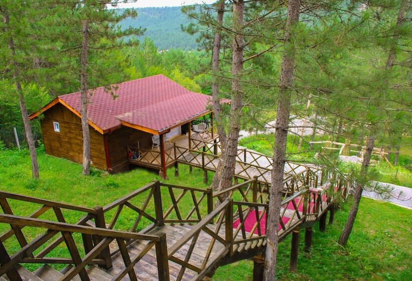 酒店 Mengen Rüya çiftliği