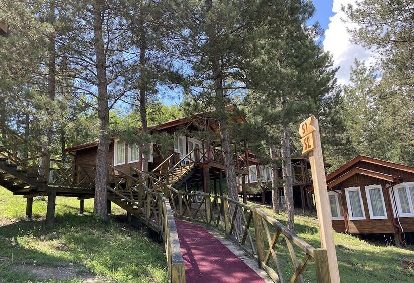 酒店 Mengen Rüya çiftliği