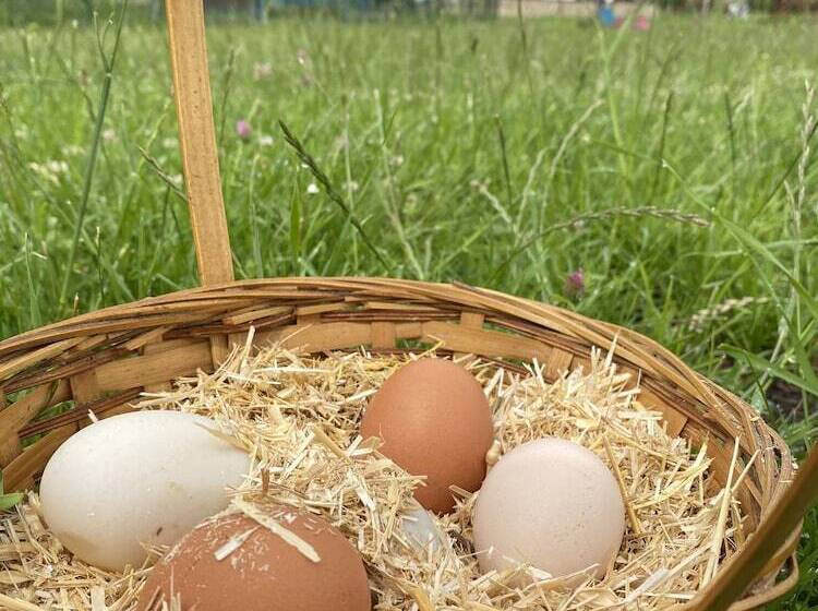 酒店 Mengen Rüya çiftliği