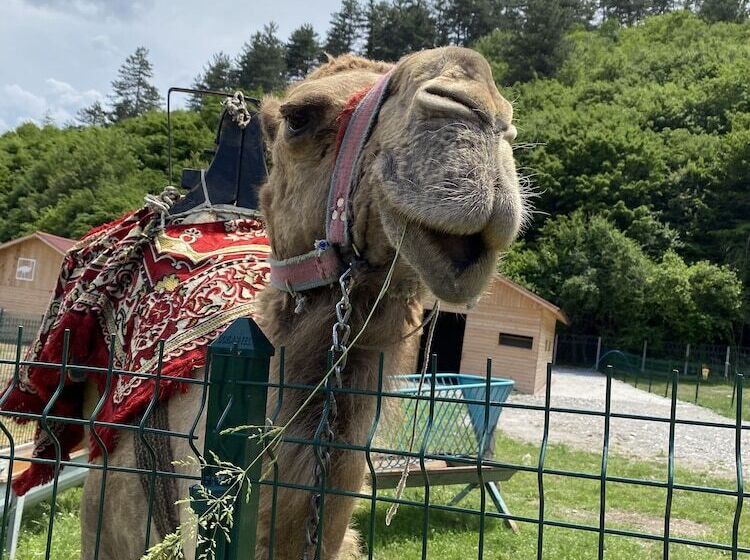 酒店 Mengen Rüya çiftliği