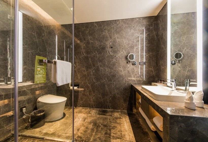 Отель Mercure Xian Hi Tech Zone