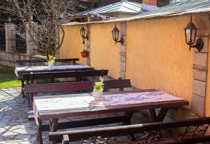 فندق Meteor Family