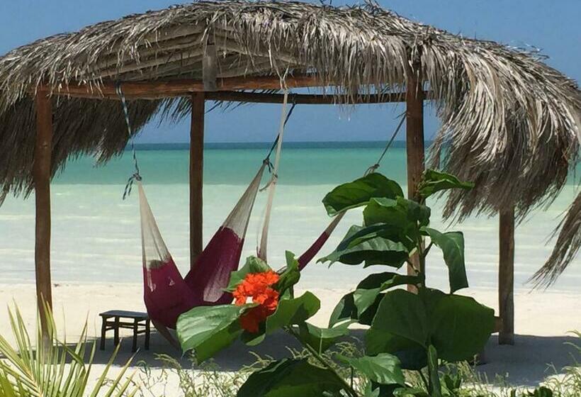 酒店 Palapas Del Sol