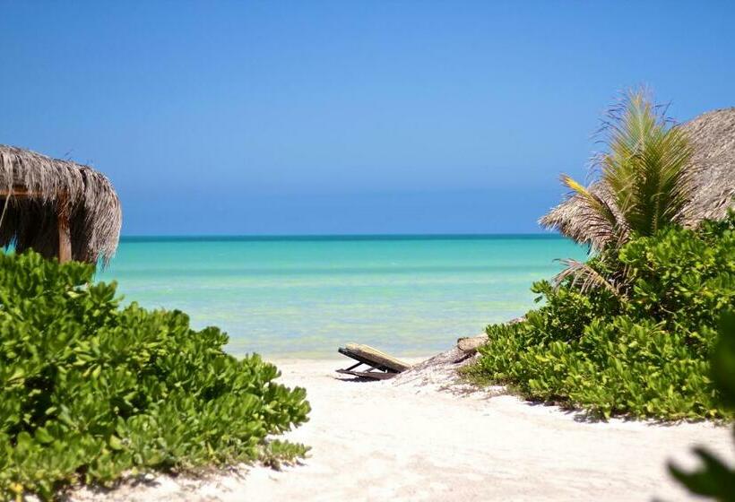 酒店 Palapas Del Sol