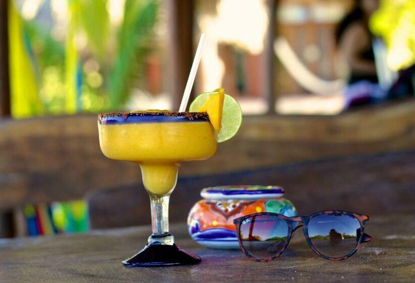 酒店 Palapas Del Sol