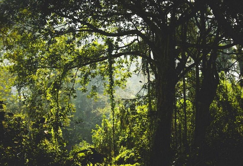 בית מלון כפרי Paradise Wild Hills Kodachadri