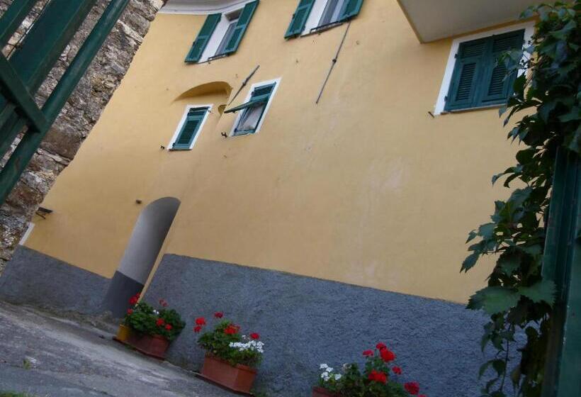 בית מלון כפרי Agriturismo Il Poggio Di Vasia Citr00864 Agr 0001