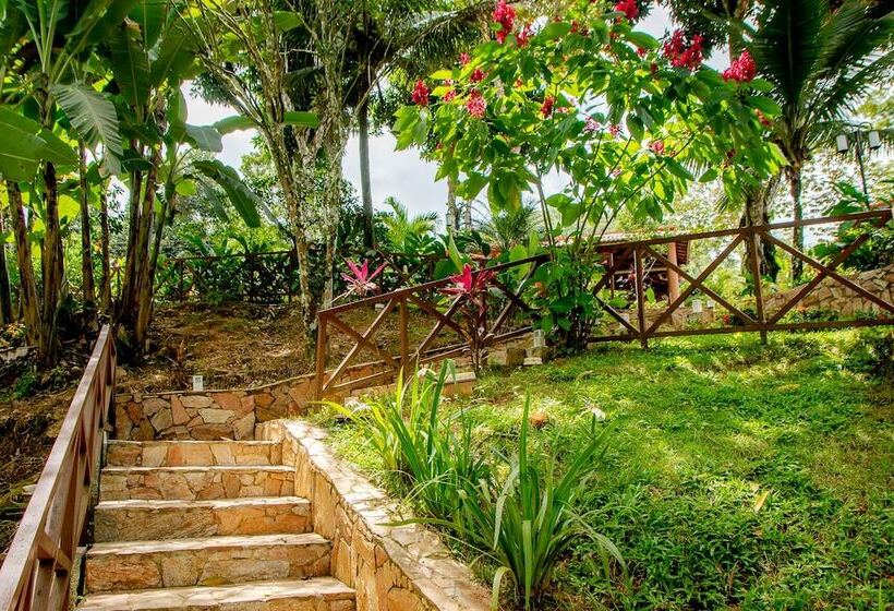 בית מלון כפרי Cantinho Das Flores