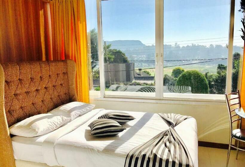 فندق Single Tree