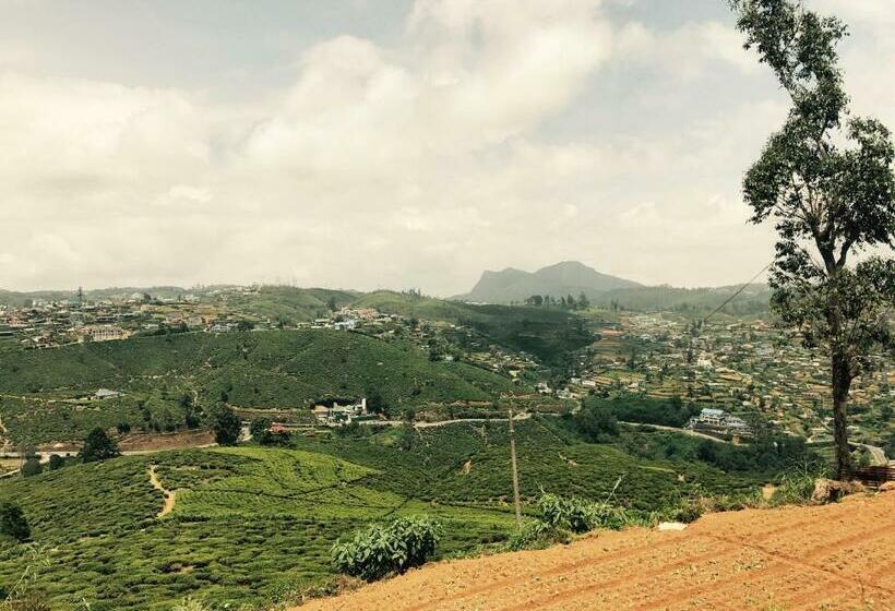 فندق Single Tree