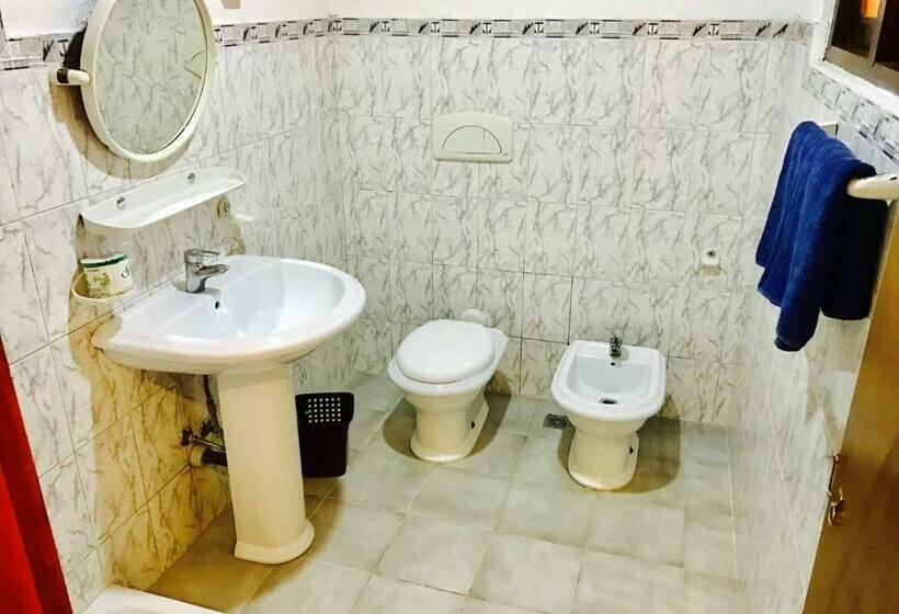 فندق Single Tree