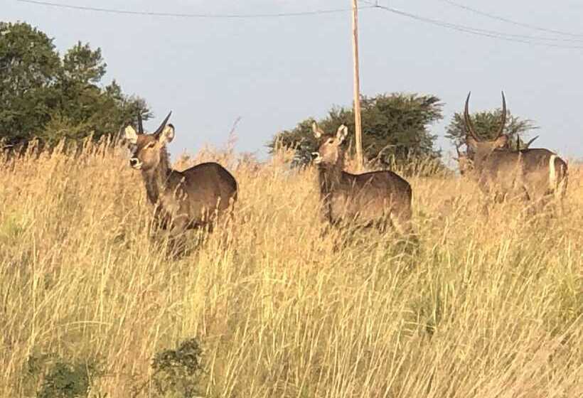 酒店 Spendpenny Guest Farm