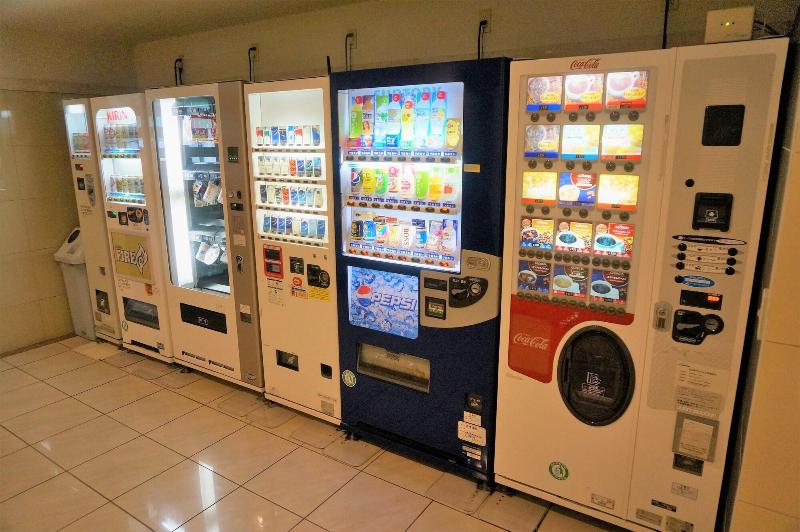 בית מלון כפרי The Kato