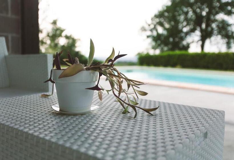 B&b Lanterna Delle Fate Cascina Piemontese And Pool For Exclusive Use