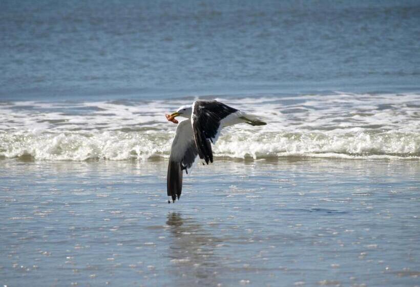 Melkbosstrand Bed And Breakfast