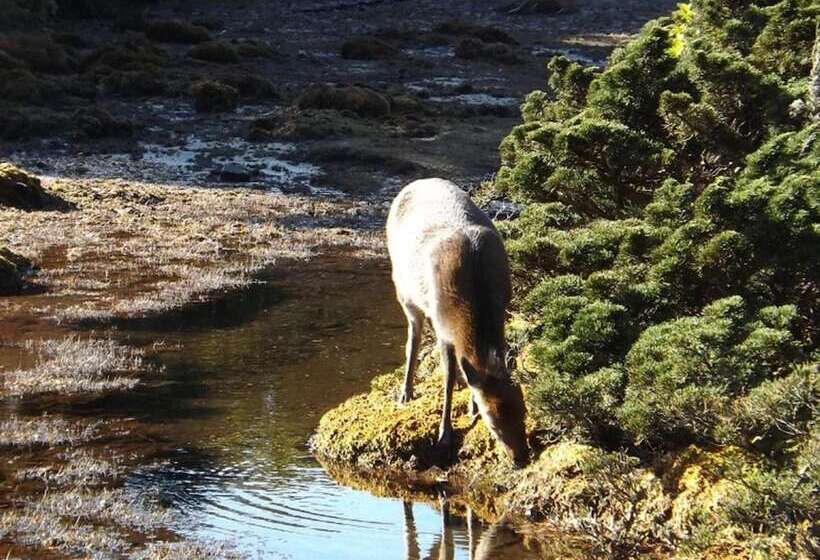 Minshuku Maetakeso   Hostel