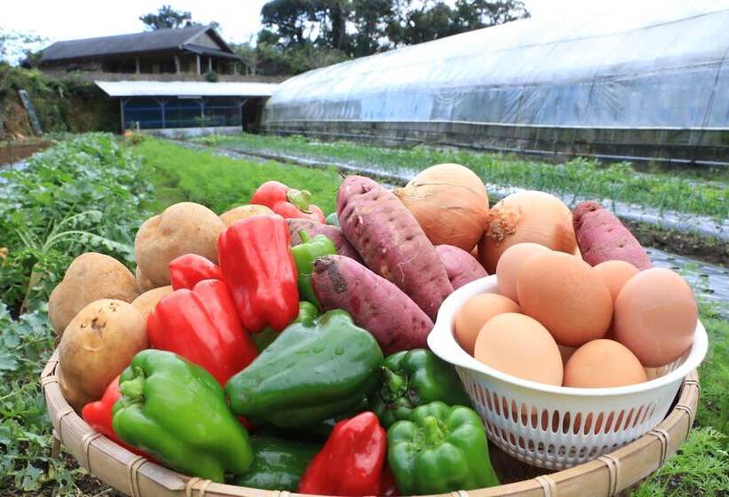 Minshuku Maetakeso   Hostel